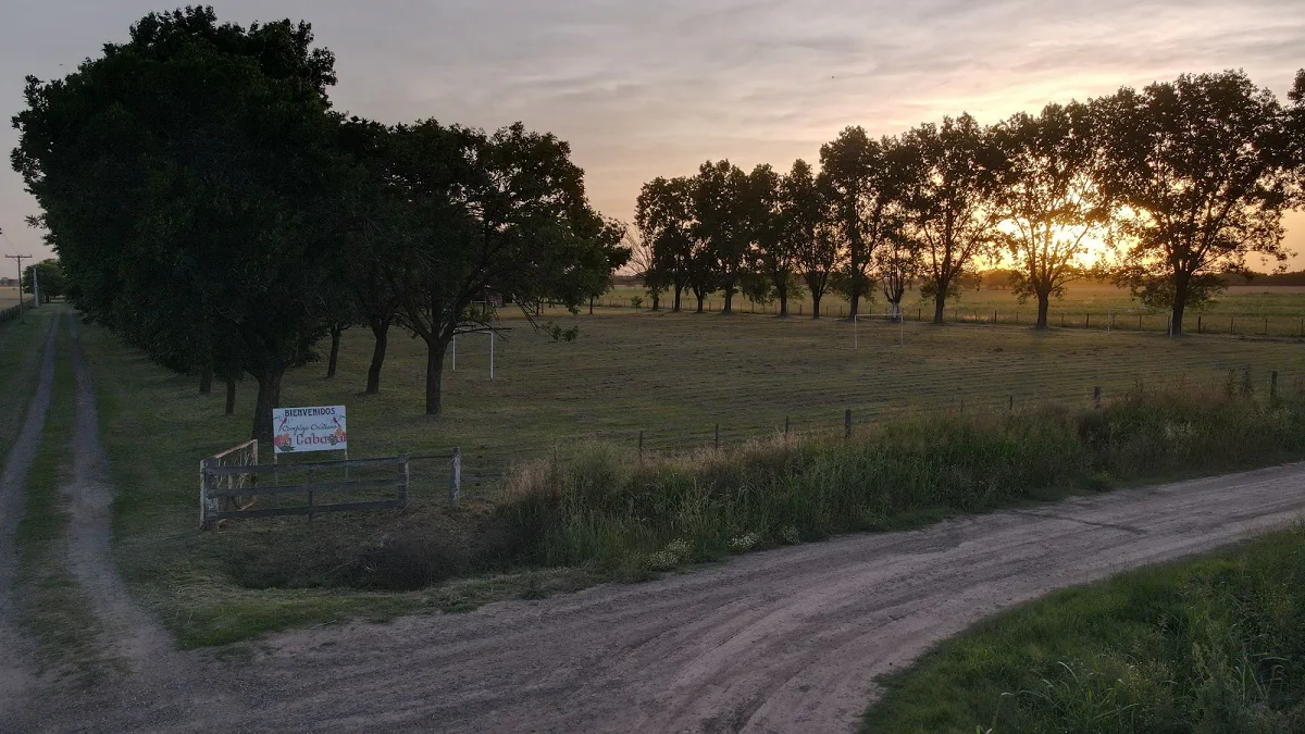 Vista amplia del predio arbolado de La Cabaña al atardecer, junto a los caminos de ingreso.